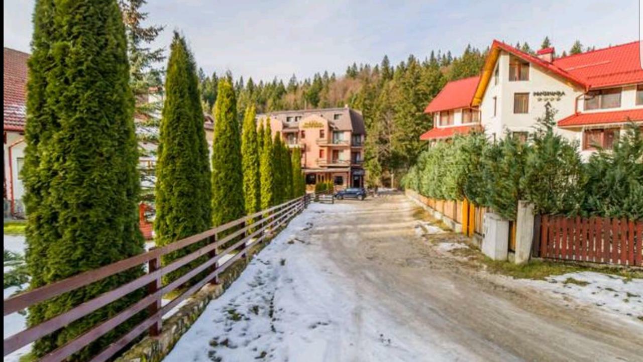 Apartament Andra Пояна Брашов Екстериор снимка